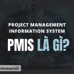PMIS là gì