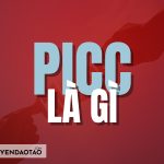 PICC là gì