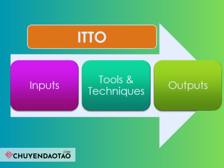 ITTO là gì và có vai trò như thế nào