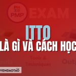 ITTO trong kỳ thi PMP®