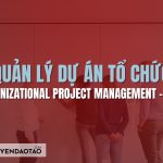 Quản lý dự án tổ chức OPM là gì