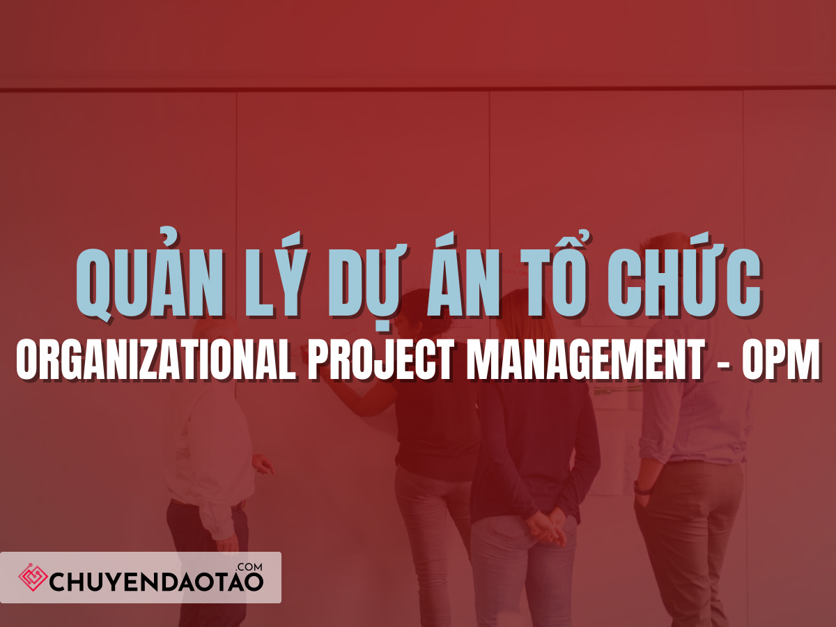 Quản lý dự án tổ chức OPM là gì